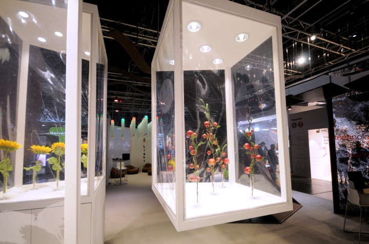 17_Euroshop-Dusseldorf-2014-ILMAS-08.jpg