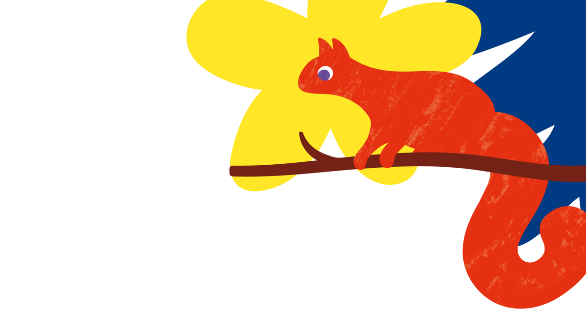 243_Scouts_squirrels_illustrations_3_2021-09-03-122608_6c0c164bd2b597ee32b68b8b5755bd2e.png