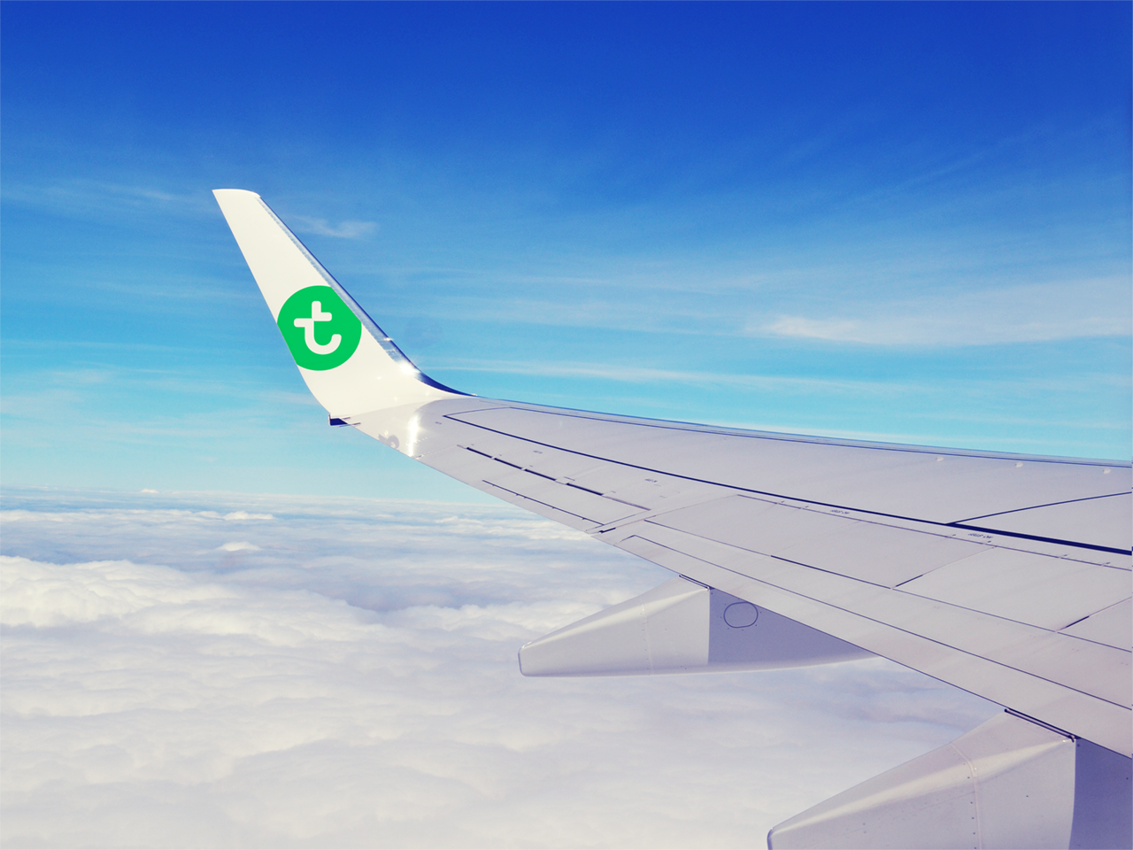 7_transavia-identity-7.png